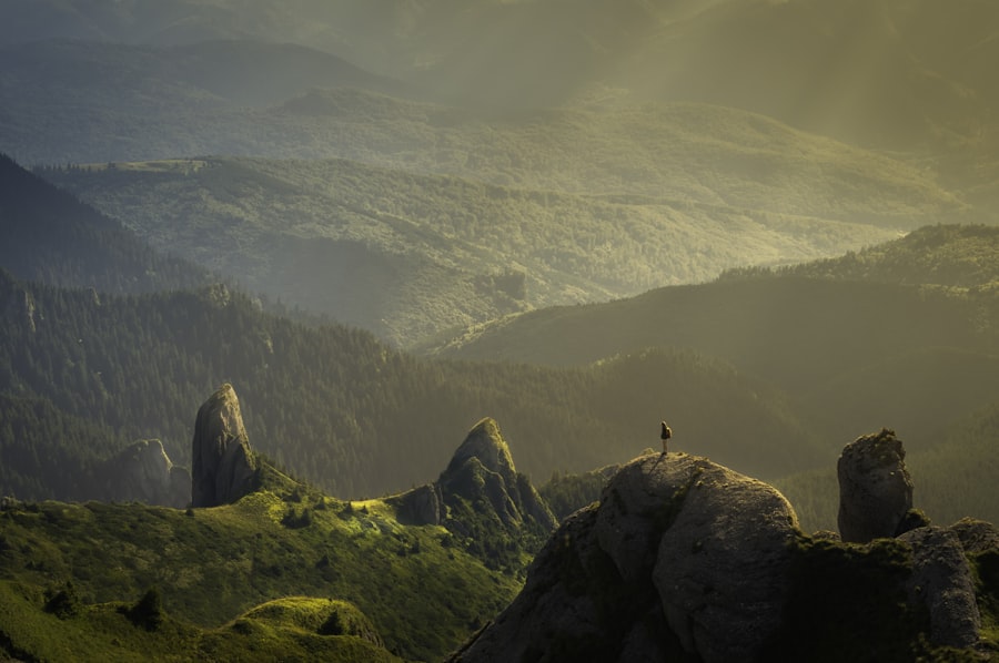 Valley in golden light