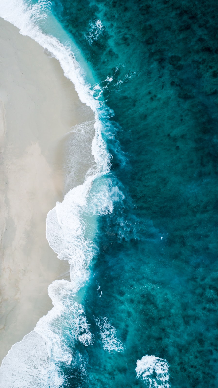 Ocean shore